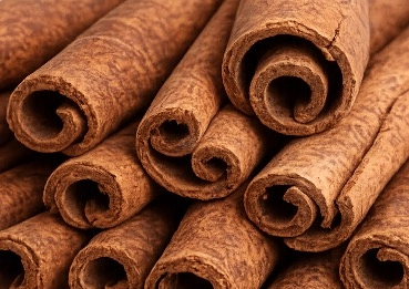 Cinnamon bark MetaBurn ingredient for energy balance
