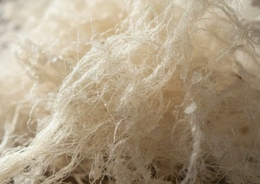 Konjac fiber MetaBurn ingredient for fullness support