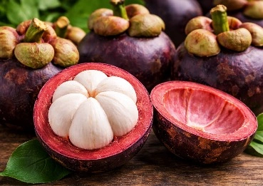 Mangosteen MetaBurn ingredient for antioxidant support