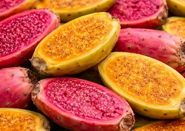 Prickly pear MetaBurn ingredient for metabolic balance